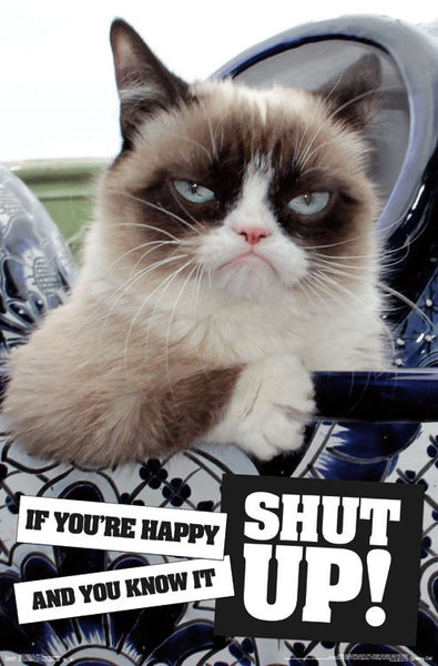 hang in there grumpy cat